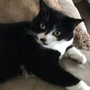 Meet your Posher, Val